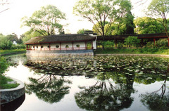 红梅公园图片