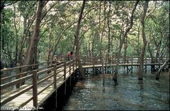 双溪布洛自然公园 shuang4