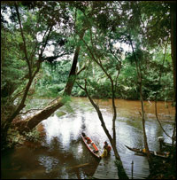 kualatembeling1