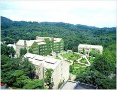 延世大学 yonsei02
