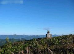 百山祖自然保护区图片