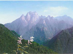 妙道山图片