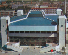 大学生体育馆图片