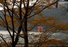 芦之湖 芦之湖06
