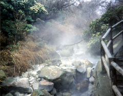 大涌谷4