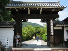 岚山 岚山4
