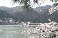 岚山图片
