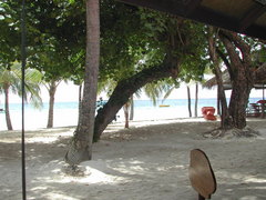 原住居民岛 Maldives Resort Island