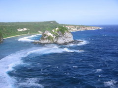 鸟岛图片