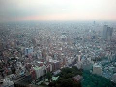 都厅观光台图片