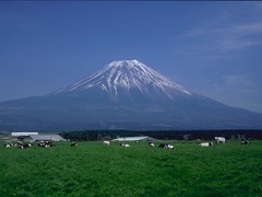 富士山 富士山54