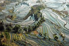 元阳梯田图片