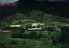 KURANDA热带雨林图片