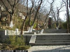 美人松东的怪石园