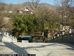 565九龙桥正对面的摊点
