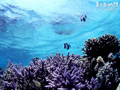 海底世界 2006121305163618997