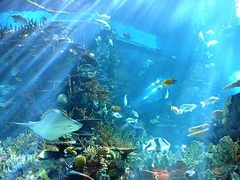 海洋馆图片
