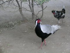 44512b90026da6b1