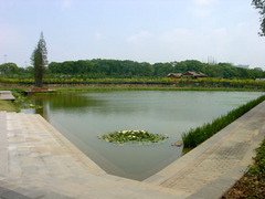 200612456133593