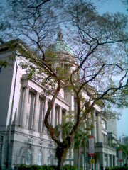 国会大厦 1128_085122[1]