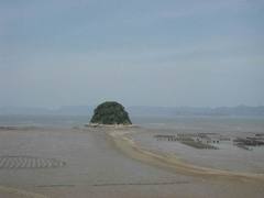 海龟岛 20038122255151972[1]