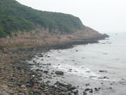 万柱海滩 P1010531[1]