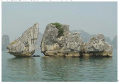 斗鸡石 200412917605[1]