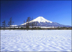秋田县 秋田县1