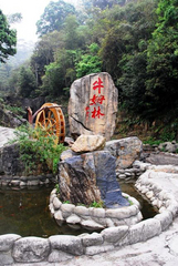 永春牛姆生态旅游区图片