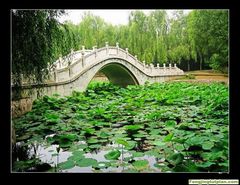 抱犊寨风景区图片
