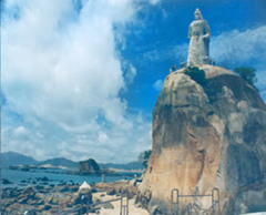 集美嘉庚园图片