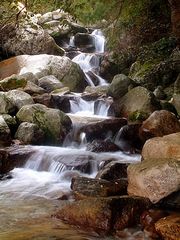 翠华山图片
