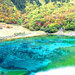 五花海