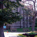 多伦多大学