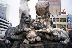 古晋 kittens_at_cat_fountain