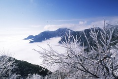 含鄱口图片