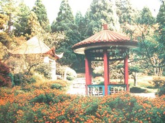 花径图片