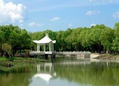太阳岛旅游度假区图片