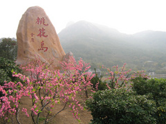 桃花岛图片