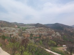 骊山森林公园图片