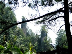 紫柏山图片