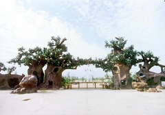 中原绿色庄园图片