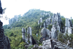 200704230852030318