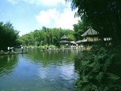 仙女湖图片