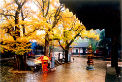 灵岩寺图片