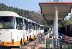 跑马岭旅游区图片