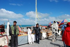 青海湖图片