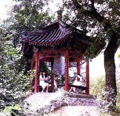闻亭