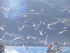 IMG_0530