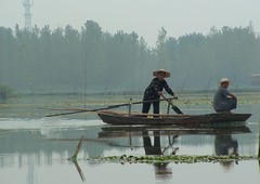 东平湖图片